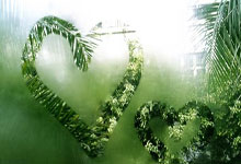 开云体育APP下载-蒙特雷球员心理调节到位，比赛中发挥更稳定