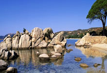 开云体育登录-帕尔梅拉斯球员团队氛围良好，备战世俱杯信心满满