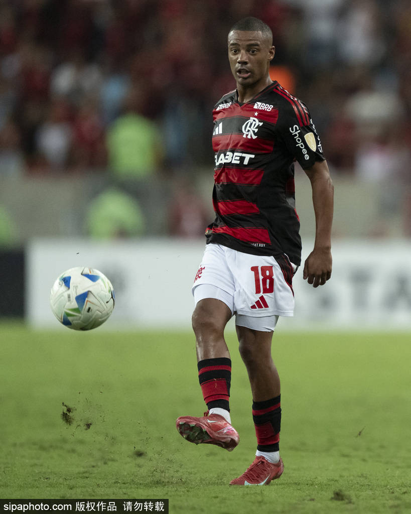 关于数据分析:博塔弗戈历史战绩与本届展望的信息 关于数据分析:博塔弗戈历史战绩与本届展望的信息