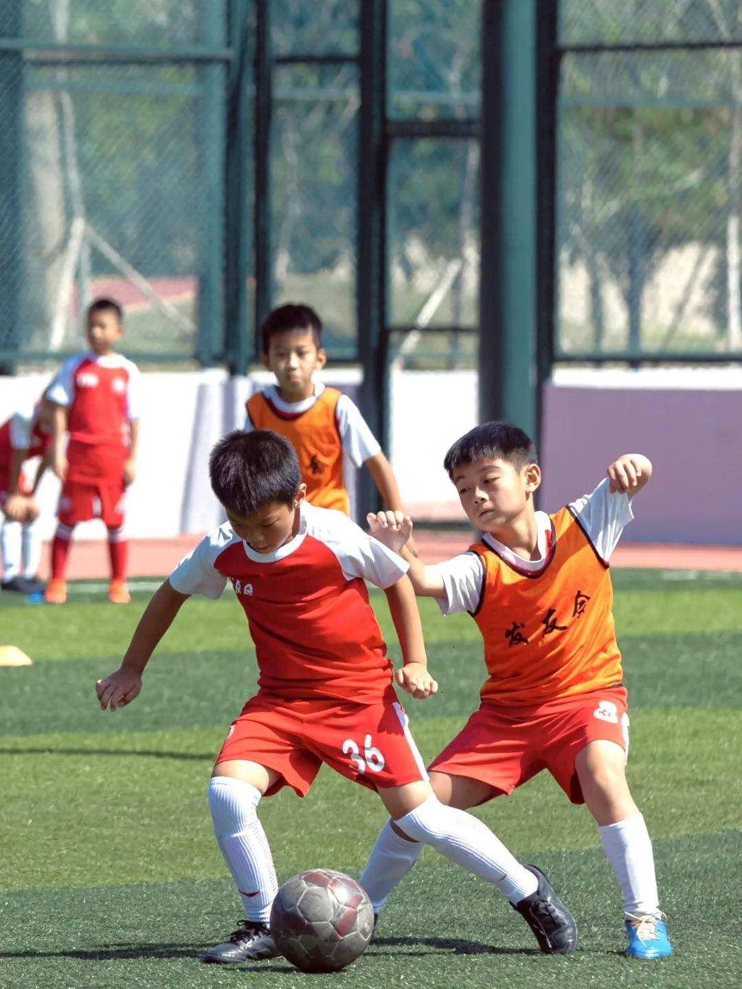 足球赛场上一幕规模宏大的场面! 足球赛场上一幕规模宏大的场面!