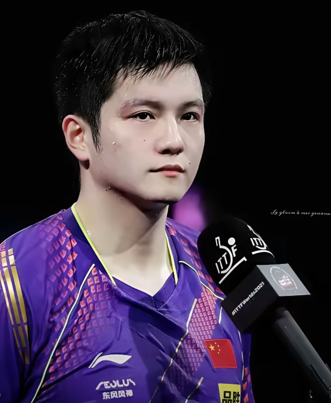 关于奥地利队完胜中国队，樊振东高光表现的信息