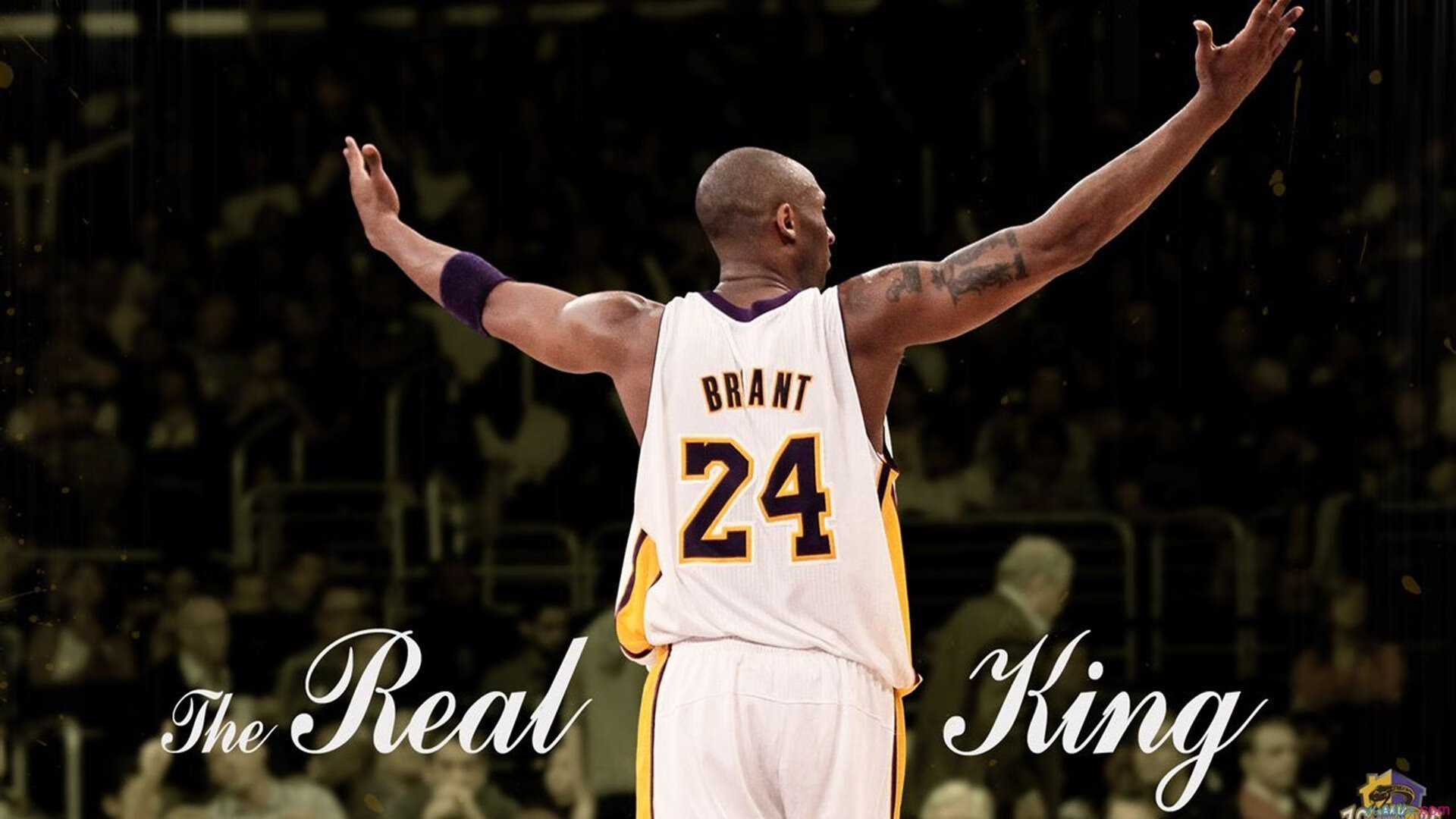 库里定律，当稳定输出成为现代篮球的唯一通关密码